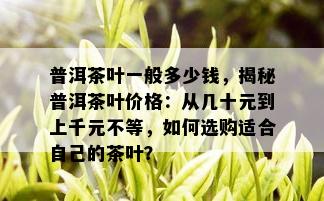 普洱茶叶一般多少钱，揭秘普洱茶叶价格：从几十元到上千元不等，如何选购适合自己的茶叶？