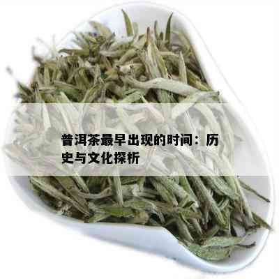 普洱茶最早出现的时间：历史与文化探析