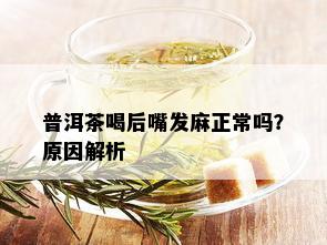 普洱茶喝后嘴发麻正常吗？原因解析