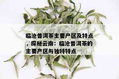 临沧普洱茶主要产区及特点，探秘云南：临沧普洱茶的主要产区与独特特点