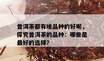 普洱茶都有啥品种的好呢，探究普洱茶的品种：哪些是更好的选择？