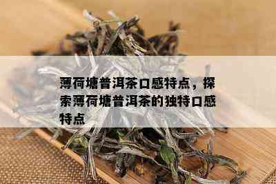 薄荷塘普洱茶口感特点，探索薄荷塘普洱茶的独特口感特点