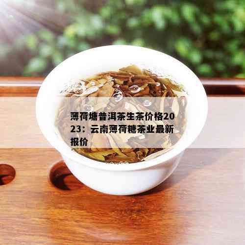 薄荷塘普洱茶生茶价格2023：云南薄荷糖茶业最新报价