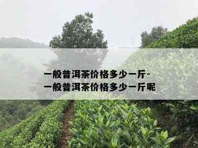 一般普洱茶价格多少一斤-一般普洱茶价格多少一斤呢