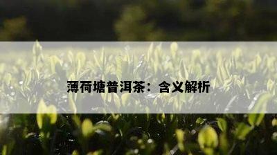 薄荷塘普洱茶：含义解析