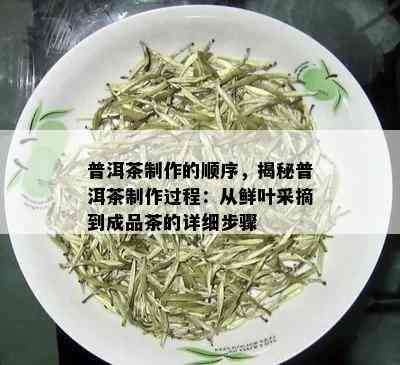 普洱茶制作的顺序，揭秘普洱茶制作过程：从鲜叶采摘到成品茶的详细步骤