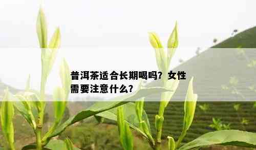 普洱茶适合长期喝吗？女性需要注意什么？