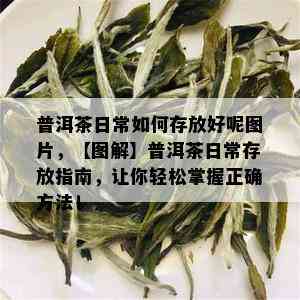 普洱茶日常如何存放好呢图片，【图解】普洱茶日常存放指南，让你轻松掌握正确方法！