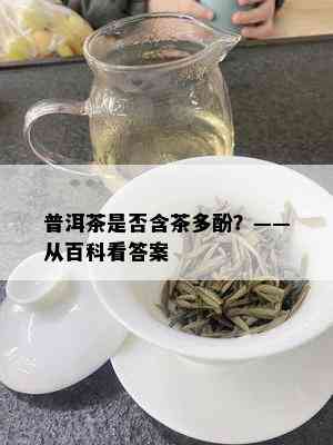 普洱茶是否含茶多酚？——从百科看答案