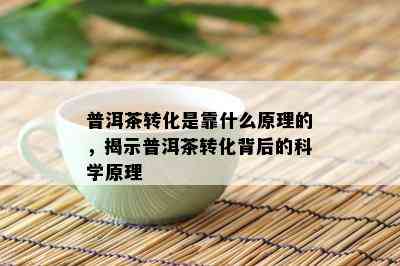 普洱茶转化是靠什么原理的，揭示普洱茶转化背后的科学原理