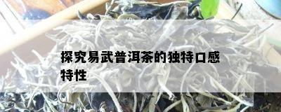 探究易武普洱茶的独特口感特性