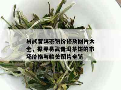 易武普洱茶饼价格及图片大全，探寻易武普洱茶饼的市场价格与精美图片全览