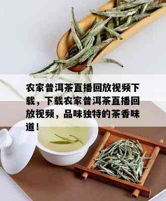 农家普洱茶直播回放视频下载，下载农家普洱茶直播回放视频，品味独特的茶香味道！