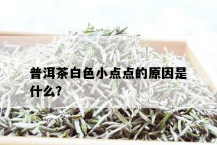 普洱茶白色小点点的原因是什么？