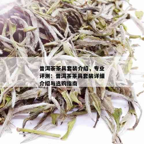 普洱茶茶具套装介绍，专业评测：普洱茶茶具套装详细介绍与选购指南