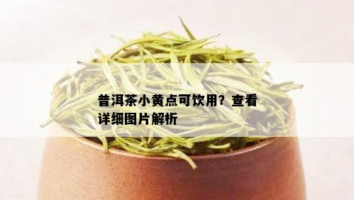 普洱茶小黄点可饮用？查看详细图片解析