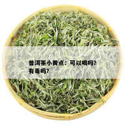 普洱茶小黄点：可以喝吗？有吗？