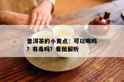 普洱茶的小黄点：可以喝吗？有吗？看图解析