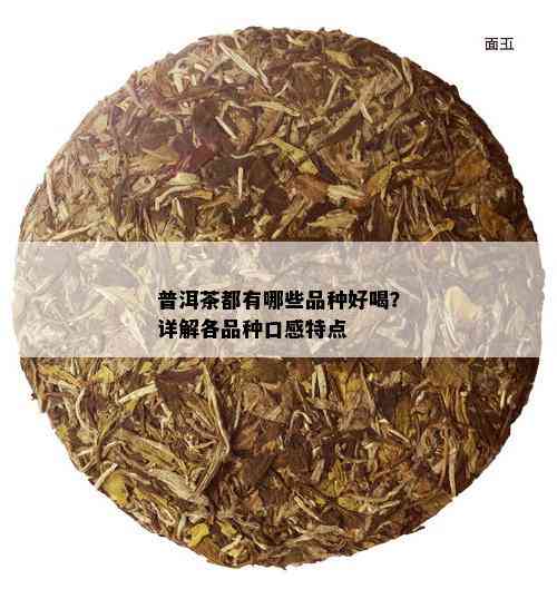 普洱茶都有哪些品种好喝？详解各品种口感特点