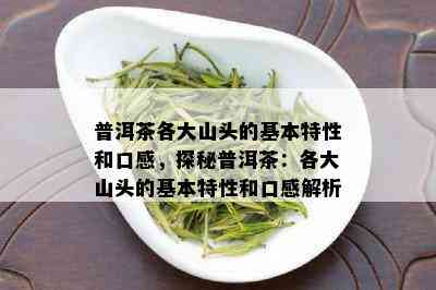 普洱茶各大山头的基本特性和口感，探秘普洱茶：各大山头的基本特性和口感解析