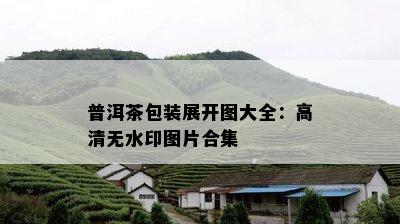 普洱茶包装展开图大全：高清无水印图片合集