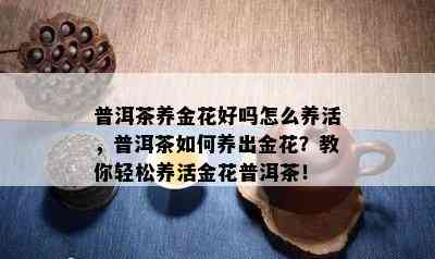 普洱茶养金花好吗怎么养活，普洱茶如何养出金花？教你轻松养活金花普洱茶！