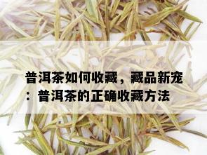 普洱茶如何收藏，藏品新宠：普洱茶的正确收藏方法