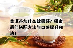 普洱茶加什么效果好？探索更佳搭配方法与口感提升秘诀！