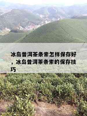 冰岛普洱茶条索怎样保存好，冰岛普洱茶条索的保存技巧