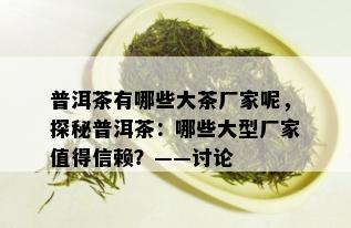 普洱茶有哪些大茶厂家呢，探秘普洱茶：哪些大型厂家值得信赖？——讨论