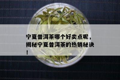 宁夏普洱茶哪个好卖点呢，揭秘宁夏普洱茶的热销秘诀！