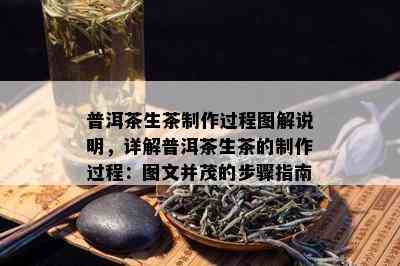 普洱茶生茶制作过程图解说明，详解普洱茶生茶的制作过程：图文并茂的步骤指南