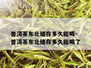 普洱茶东北储存多久能喝-普洱茶东北储存多久能喝了