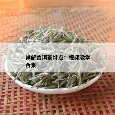 详解普洱茶特点：视频教学合集