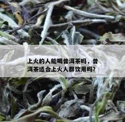 上火的人能喝普洱茶吗，普洱茶适合上火人群饮用吗？