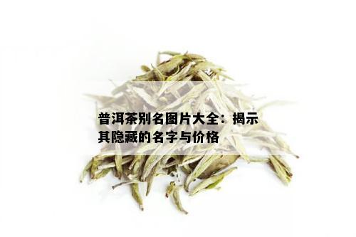 普洱茶别名图片大全：揭示其隐藏的名字与价格