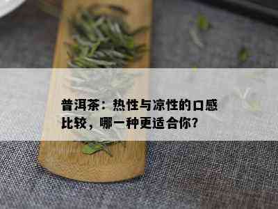 普洱茶：热性与凉性的口感比较，哪一种更适合你？