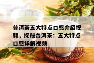 普洱茶五大特点口感介绍视频，探秘普洱茶：五大特点口感详解视频