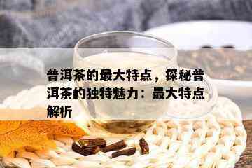 普洱茶的更大特点，探秘普洱茶的独特魅力：更大特点解析