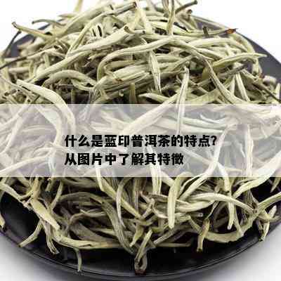 什么是蓝印普洱茶的特点？从图片中了解其特徵