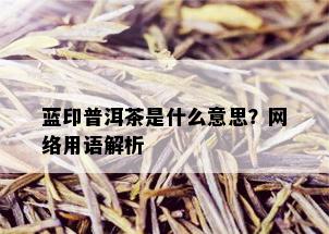 蓝印普洱茶是什么意思？网络用语解析