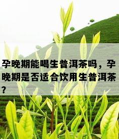 孕晚期能喝生普洱茶吗，孕晚期是否适合饮用生普洱茶？