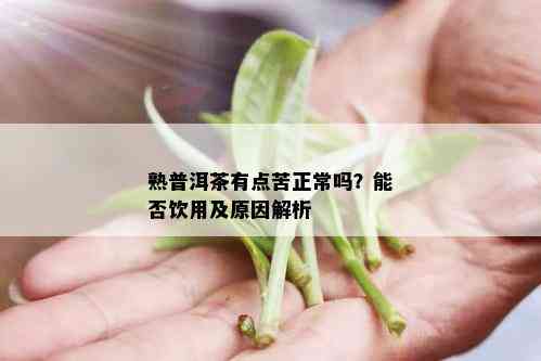 熟普洱茶有点苦正常吗？能否饮用及原因解析