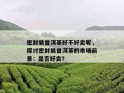 密封装普洱茶好不好卖呢，探讨密封装普洱茶的市场前景：是否好卖？