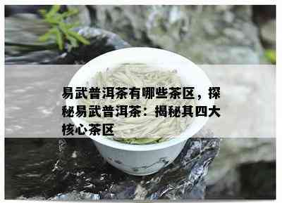 易武普洱茶有哪些茶区，探秘易武普洱茶：揭秘其四大核心茶区