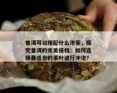 普洱可以搭配什么泡茶，探究普洱的完美搭档：如何选择最适合的茶叶进行冲泡？