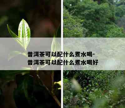 普洱茶可以配什么煮水喝-普洱茶可以配什么煮水喝好