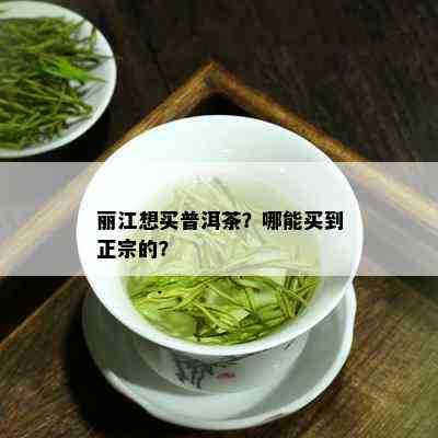 丽江想买普洱茶？哪能买到正宗的？