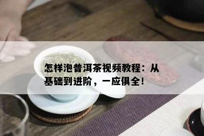 怎样泡普洱茶视频教程：从基础到进阶，一应俱全！