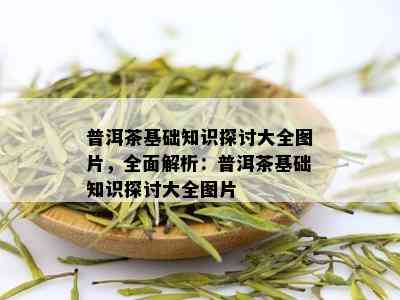 普洱茶基础知识探讨大全图片，全面解析：普洱茶基础知识探讨大全图片